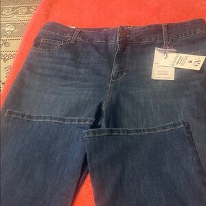 Gloria Vanderbilt Women's Blue Jeans